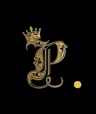 Profile picture of user: priyanshi_kashyap