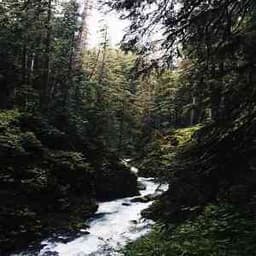 Profile picture of user: natur_eocean