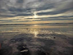 Profile picture of user: theonlyway