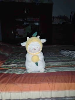 Profile picture of user: sofinieblita