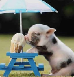 Profile picture of user: jman