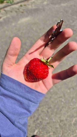 Profile picture of user: https_outh