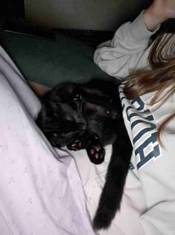 Profile picture of user: ezzyrosa