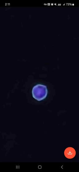 Profile picture of user: joshua