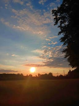 Profile picture of user: allys_heartery