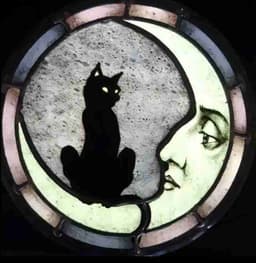 Profile picture of user: leaf