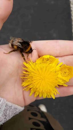 Profile picture of user: elena