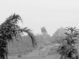 Profile picture of user: poetfirst