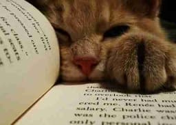 Profile picture of user: sahana