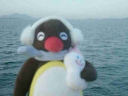 Profile picture of user: ttwelvee