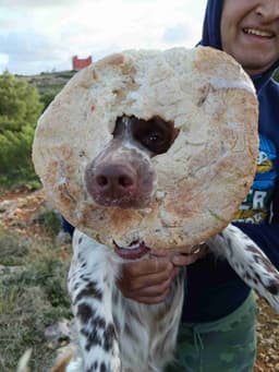 Profile picture of user: gabysparkles