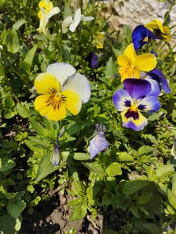 Profile picture of user: spillingink