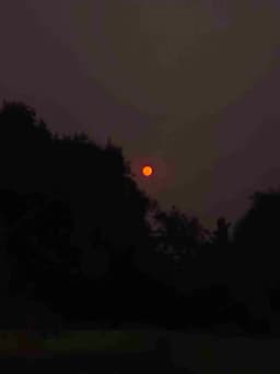 Profile picture of user: k_r__