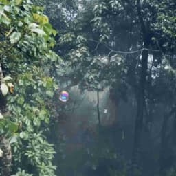 Profile picture of user: ha_who