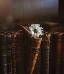 Profile picture of user: quiet_pages